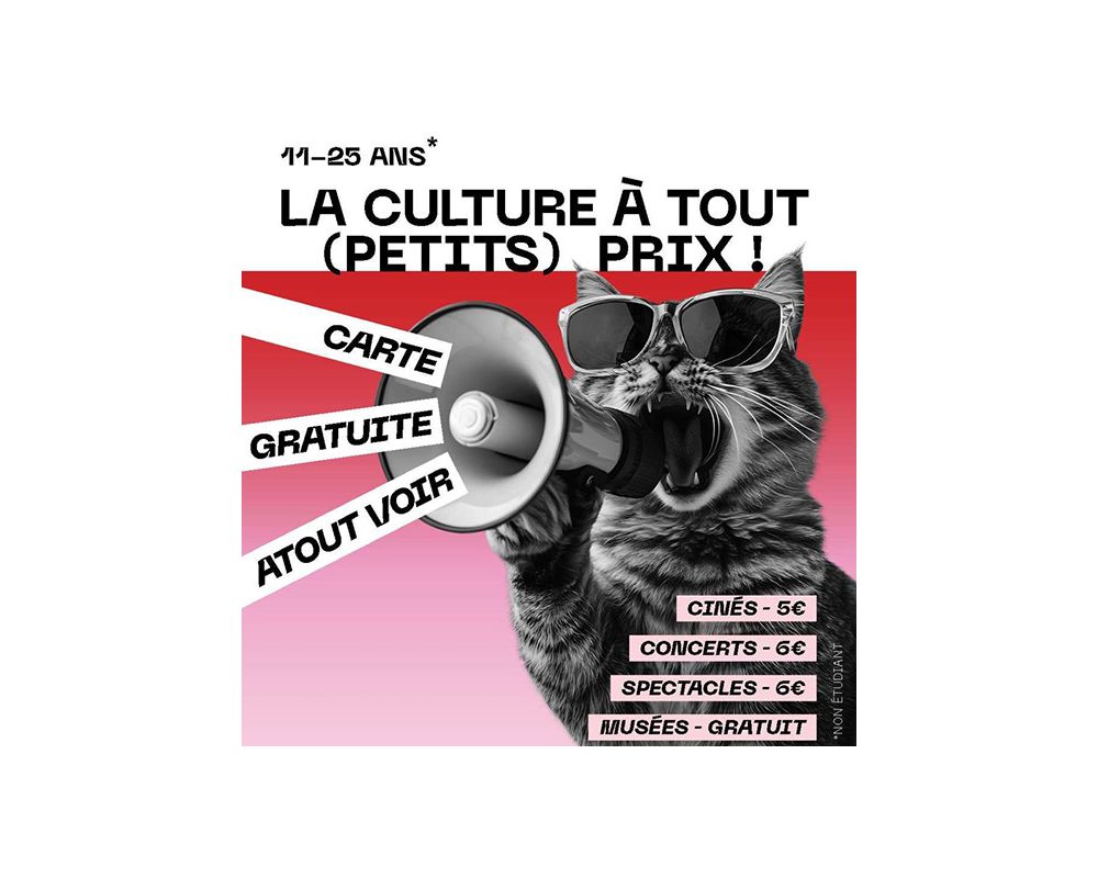 La carte Atout Voir 
