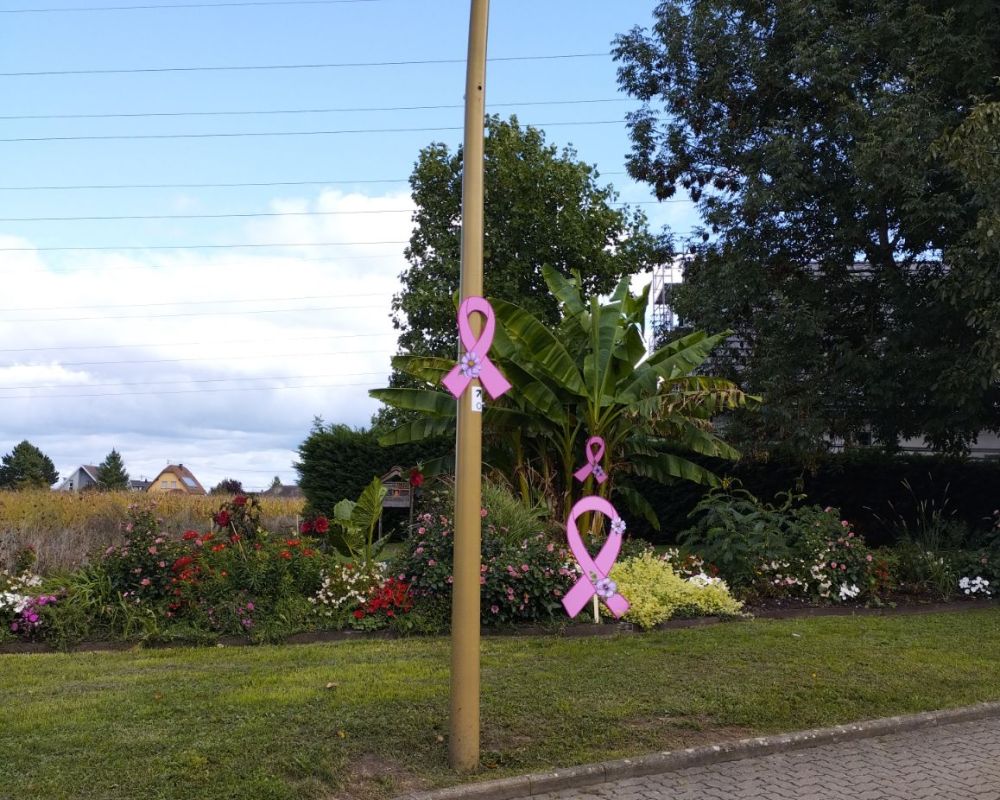La Niedergeoise : Décoration du village.