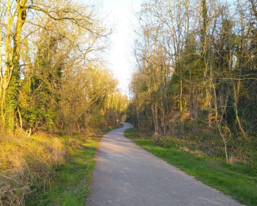 Mise en sécurité de la montée du Fort Foch