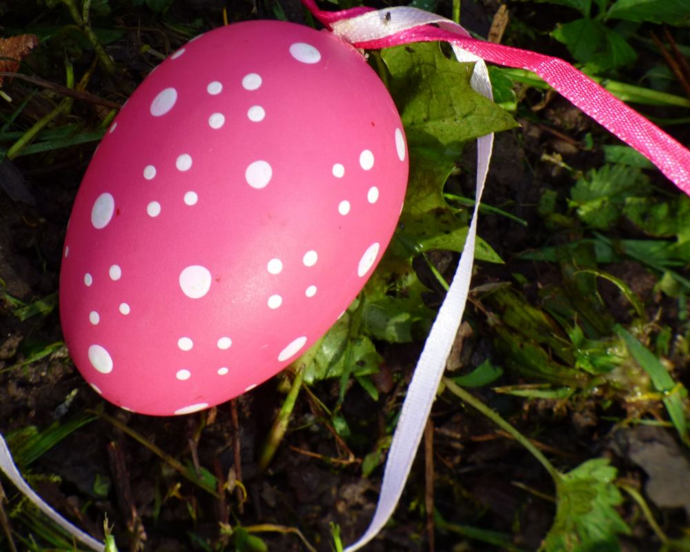 Chasse aux œufs le 5 avril 2024 au jardin des Coteaux.