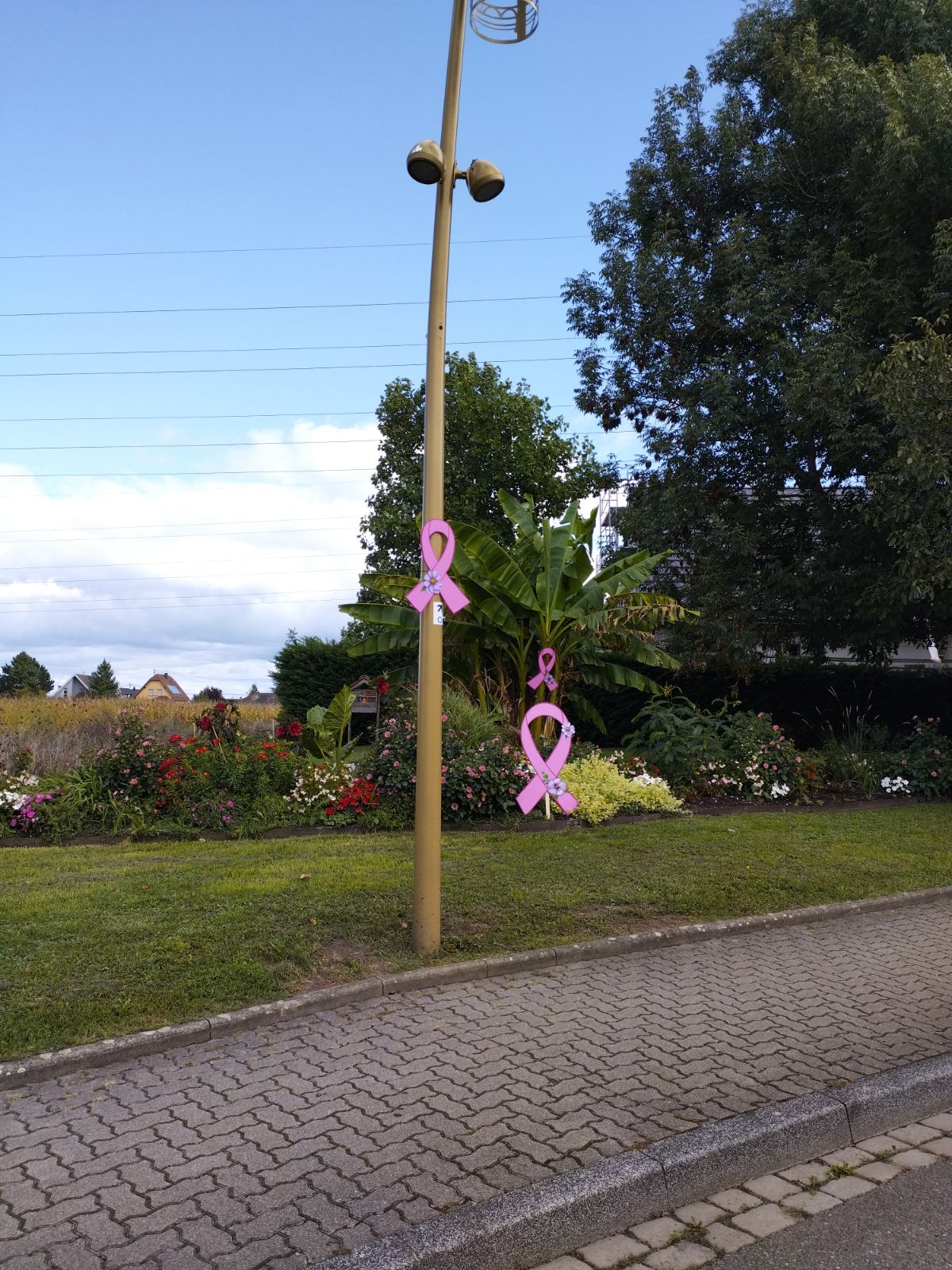 déco niedergeoise