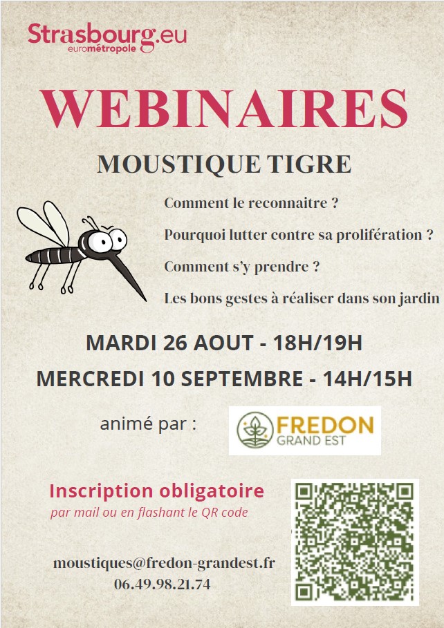 moustique tigre webinaire